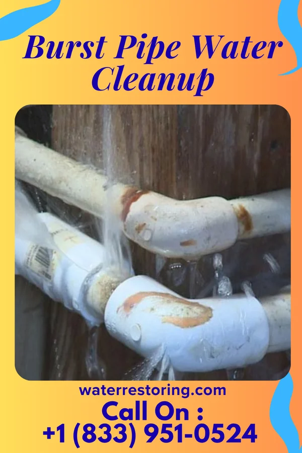 Burst Pipe Water Cleanup in West Baraboo, WI