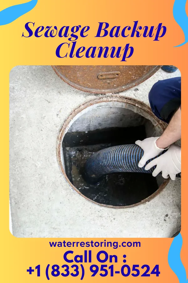 Sewage Backup Cleanup in West Baraboo, WI