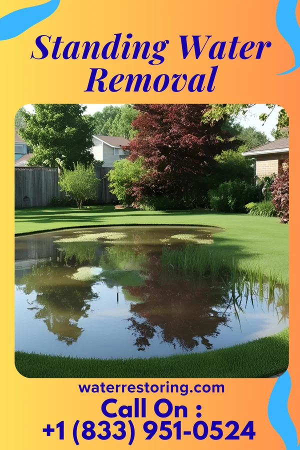 Standing Water Removal in West Baraboo, WI